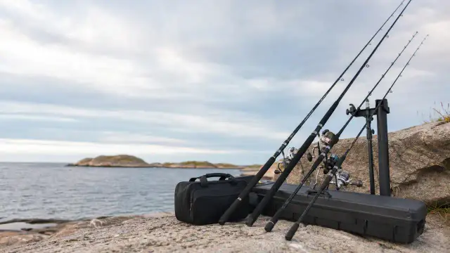 Havstænger